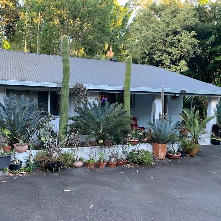 Ancient Gardens Guesthouse & Botanical Gardens Eudlo Exterior photo